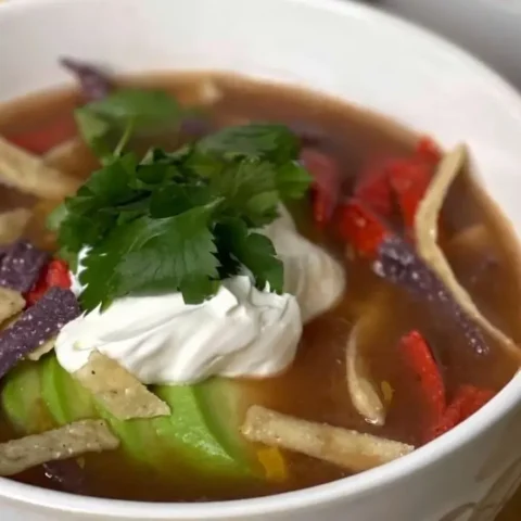 Trader Joe's Chicken Tortilla Soup Recipe