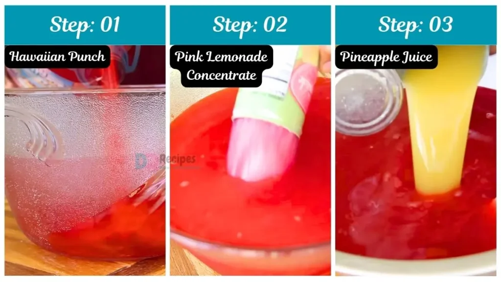Step by Step Minute Maid Fruit Punch Recipe